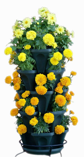 Mr. Stacky 1305-HG top view, modular stacking for herbs in small spaces