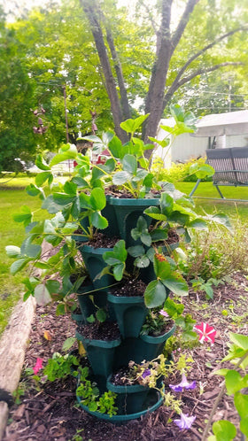 Mr. Stacky 1305-HG reservoir design supports self-watering across tiers