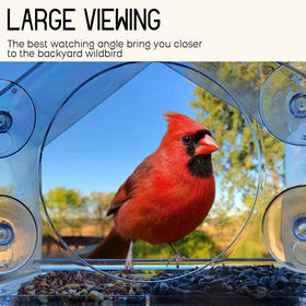 Clear viewing window lets you observe cardinals and finches up close.