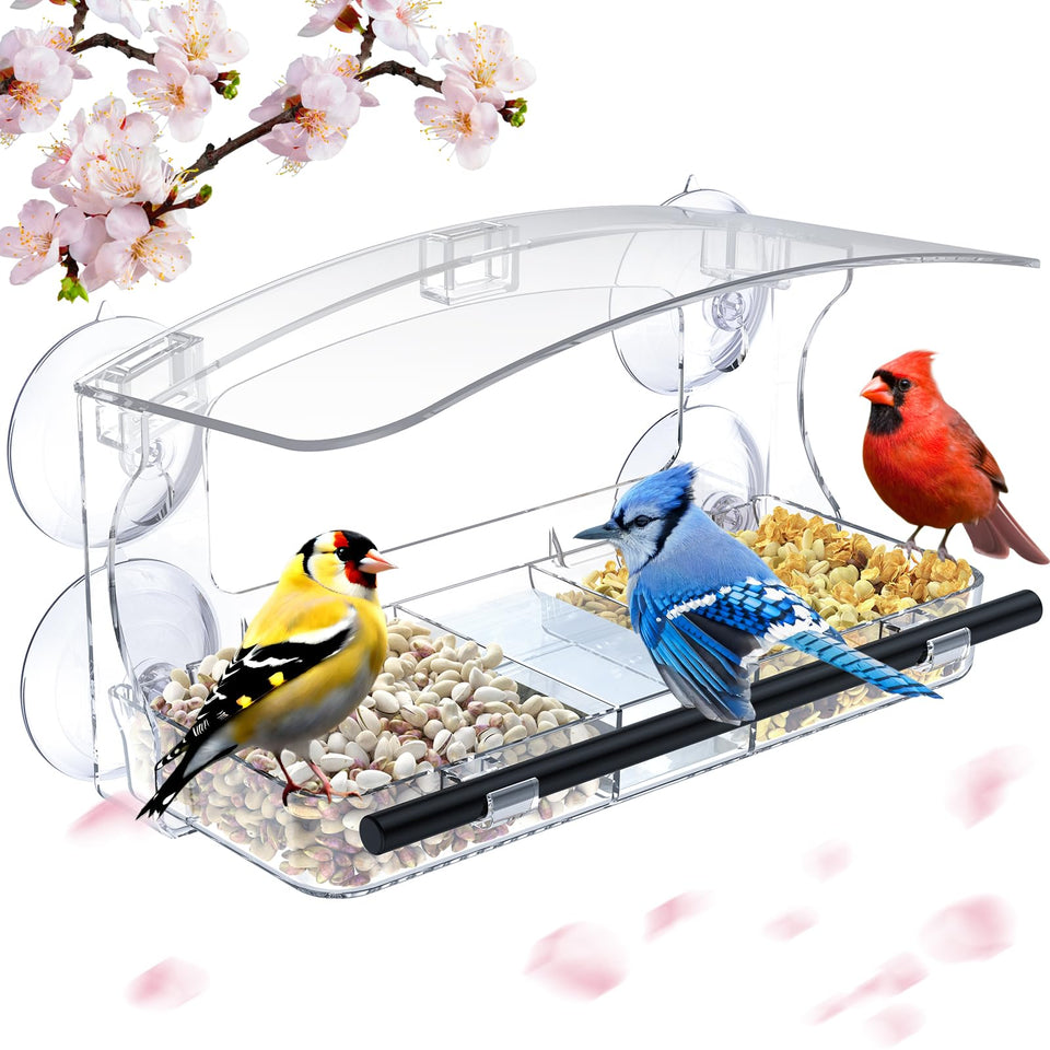 Mrcrafts window bird feeder with strong suction cups securely attaching to glass for indoor viewing