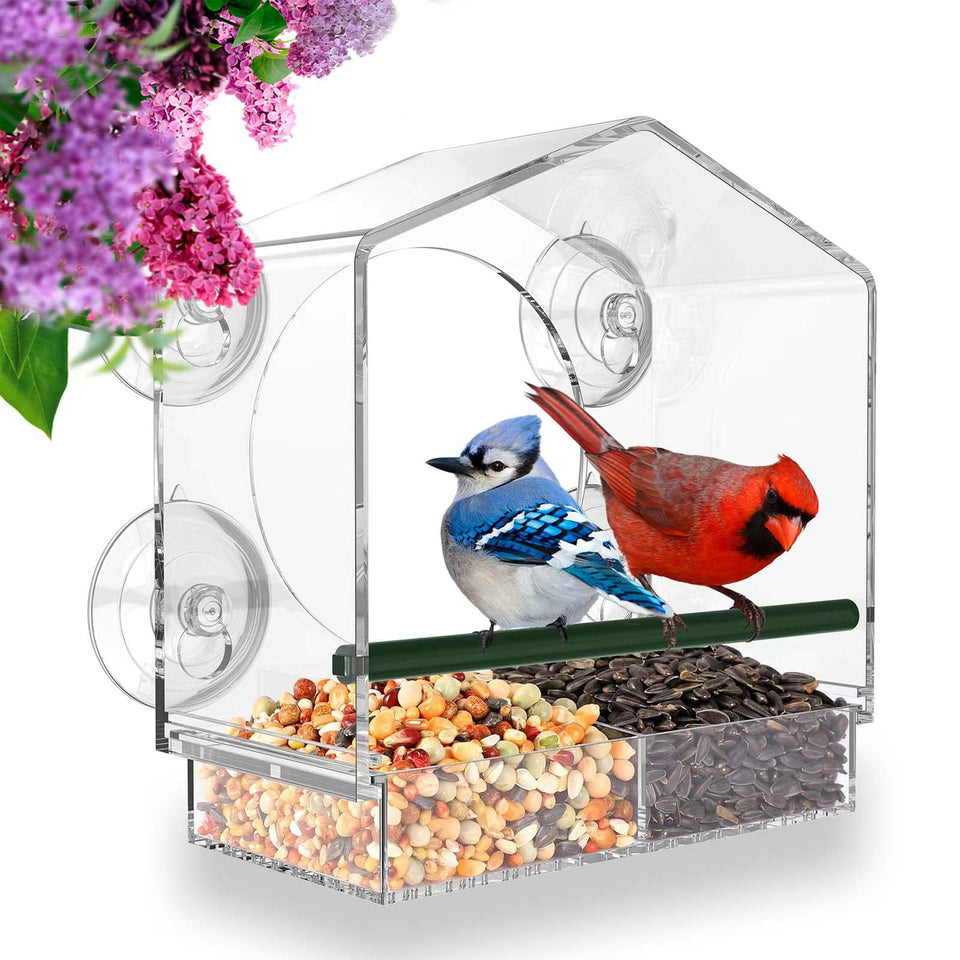 Mrcrafts Window Bird Feeder with strong suction cups for secure outdoor anchoring.
