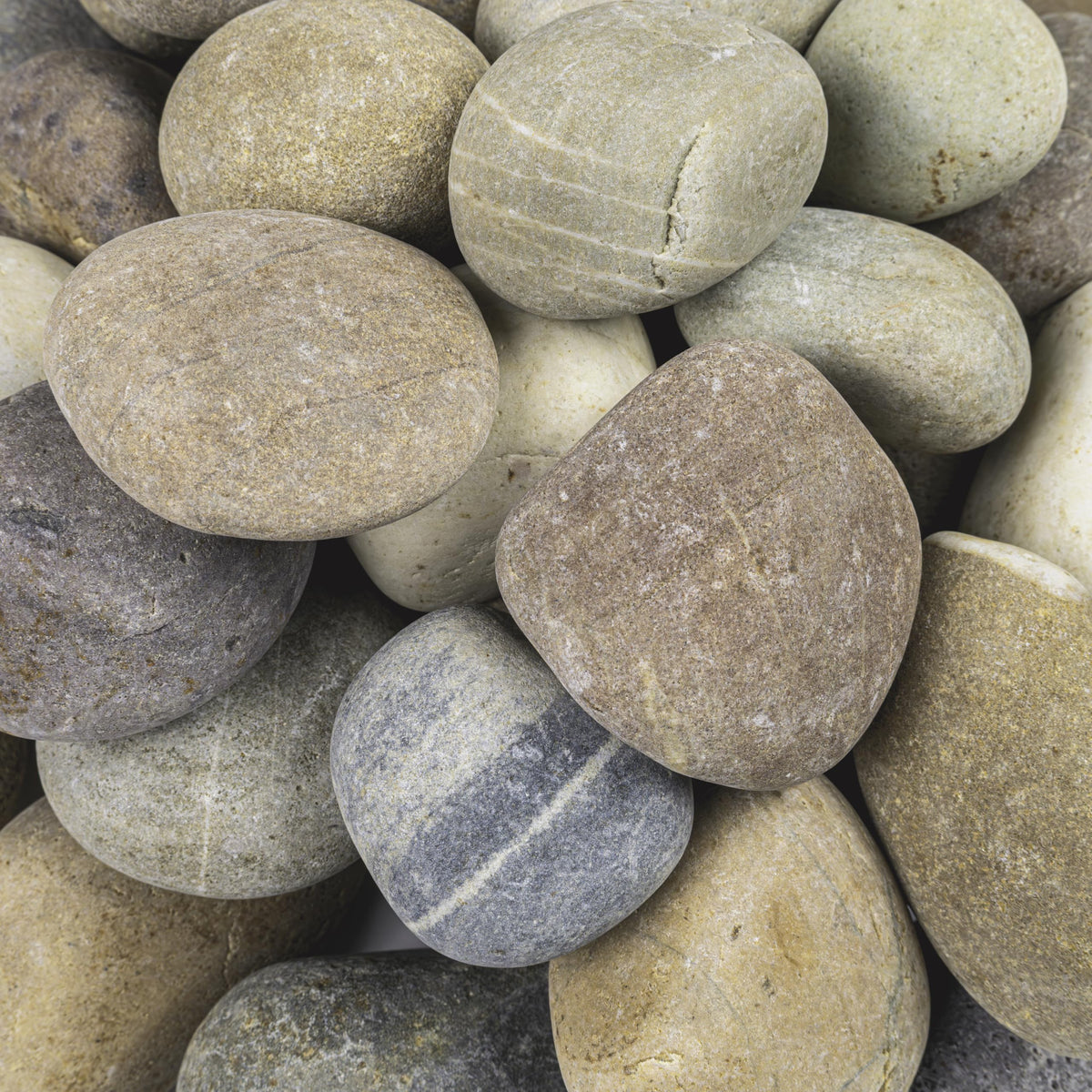 MSI decorative pebbles color mix brightens planters and borders