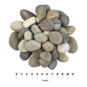MSI multicolor pebbles withstand outdoor use for durable borders