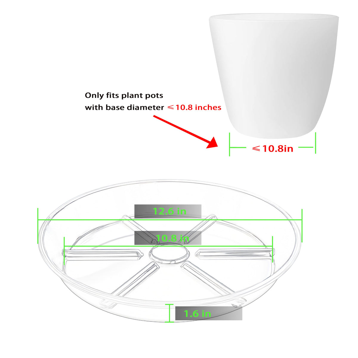 MSKIAUO clear 2-pack saucers catch excess water.