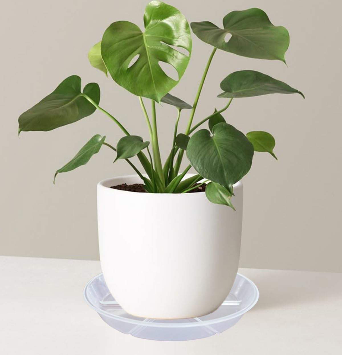 MSKIAUO 12-inch saucers resist cracking and fading over time.