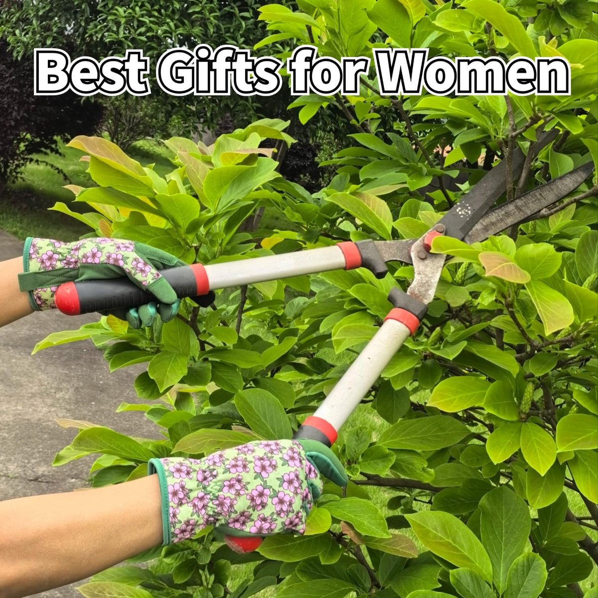 MSUPSAV thorn-proof gloves with puncture resistance for handling sharp plants.