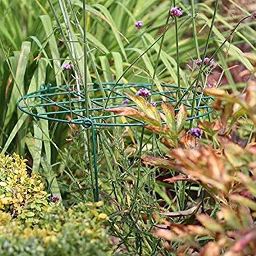 MTB Supply 16-inch grid hoop demonstrates the main hoop for sturdy flower support.