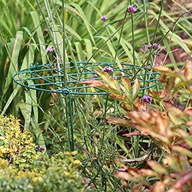 MTB Supply 16-inch grid hoop demonstrates the main hoop for sturdy flower support.