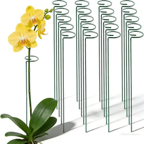 MTB Supply 24in green single-stem plant stake with open loop for easy stem threading.