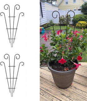 MTB Supply outdoor garden stakes designed for roses, grapes, and other climbing plants.