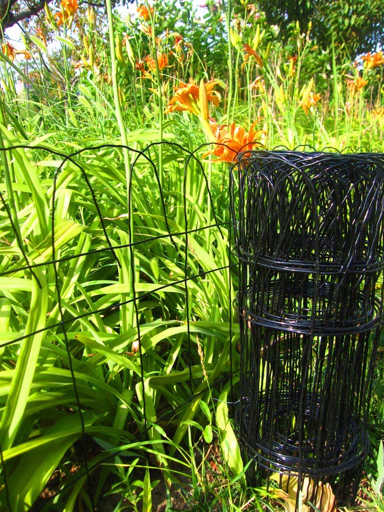 MTB Supply easy-install border fence shown along a garden boundary