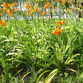 MTB Supply flower bed edging border neatly separates soil and mulch