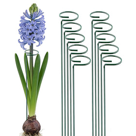 MTB Supply green single stem stake supporting a tall plant for upright growth