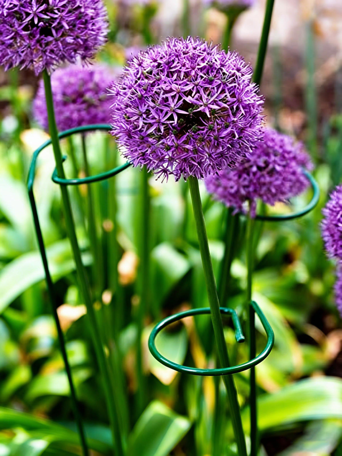 MTB Supply green stake pack with 10 pieces for multiple stems