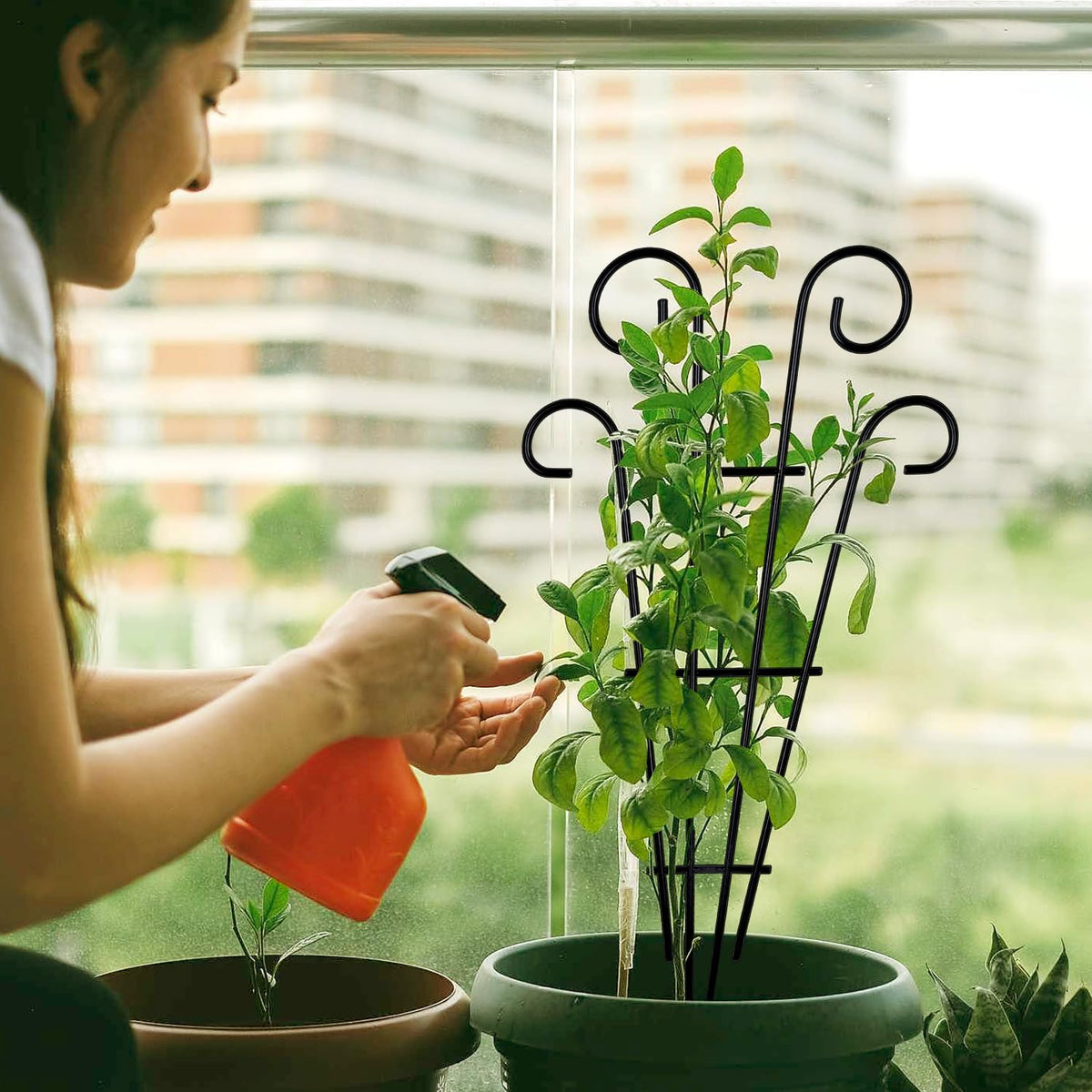 MTB Supply 31-inch height fits borders, patios, and garden beds for versatile plant training.