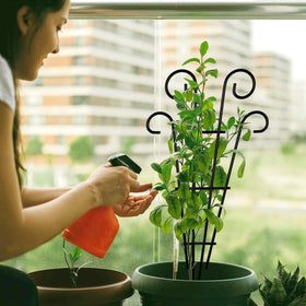 MTB Supply 31-inch height fits borders, patios, and garden beds for versatile plant training.