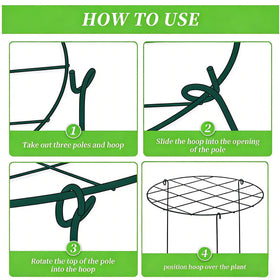 MTB Supply grow-through hoops guide growing stems without crowding or bending.