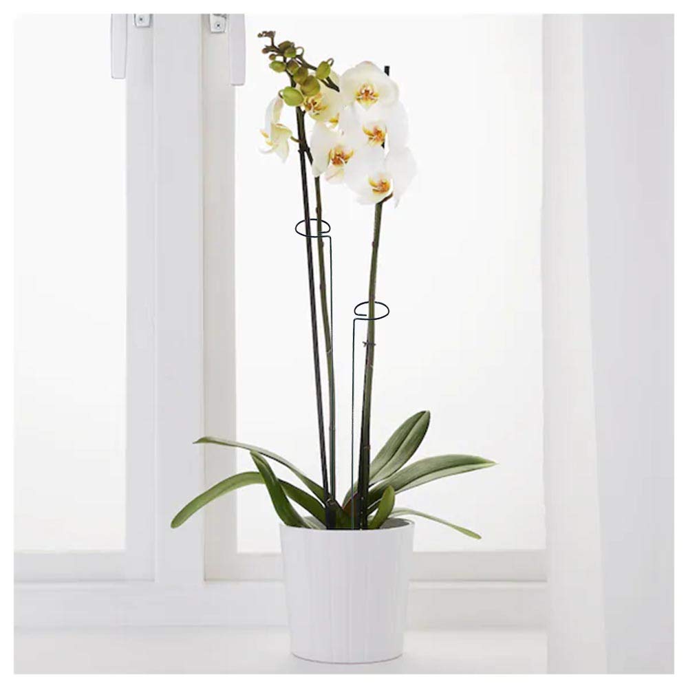 MTB Supply weatherproof green stake blends with garden and protects stems.