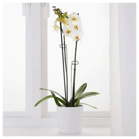 MTB Supply weatherproof green stake blends with garden and protects stems.