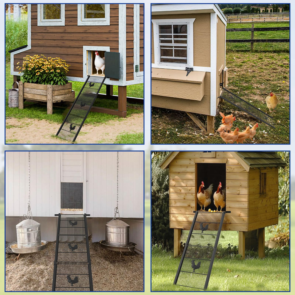 Decorative rooster design on MTGSTOCL ramp adds coop charm