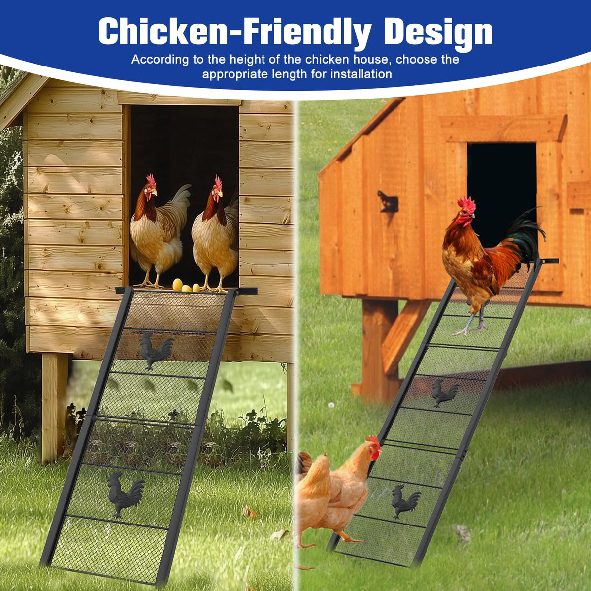 Rustproof, waterproof MTGSTOCL chicken ramp shows sturdy, non-slip performance
