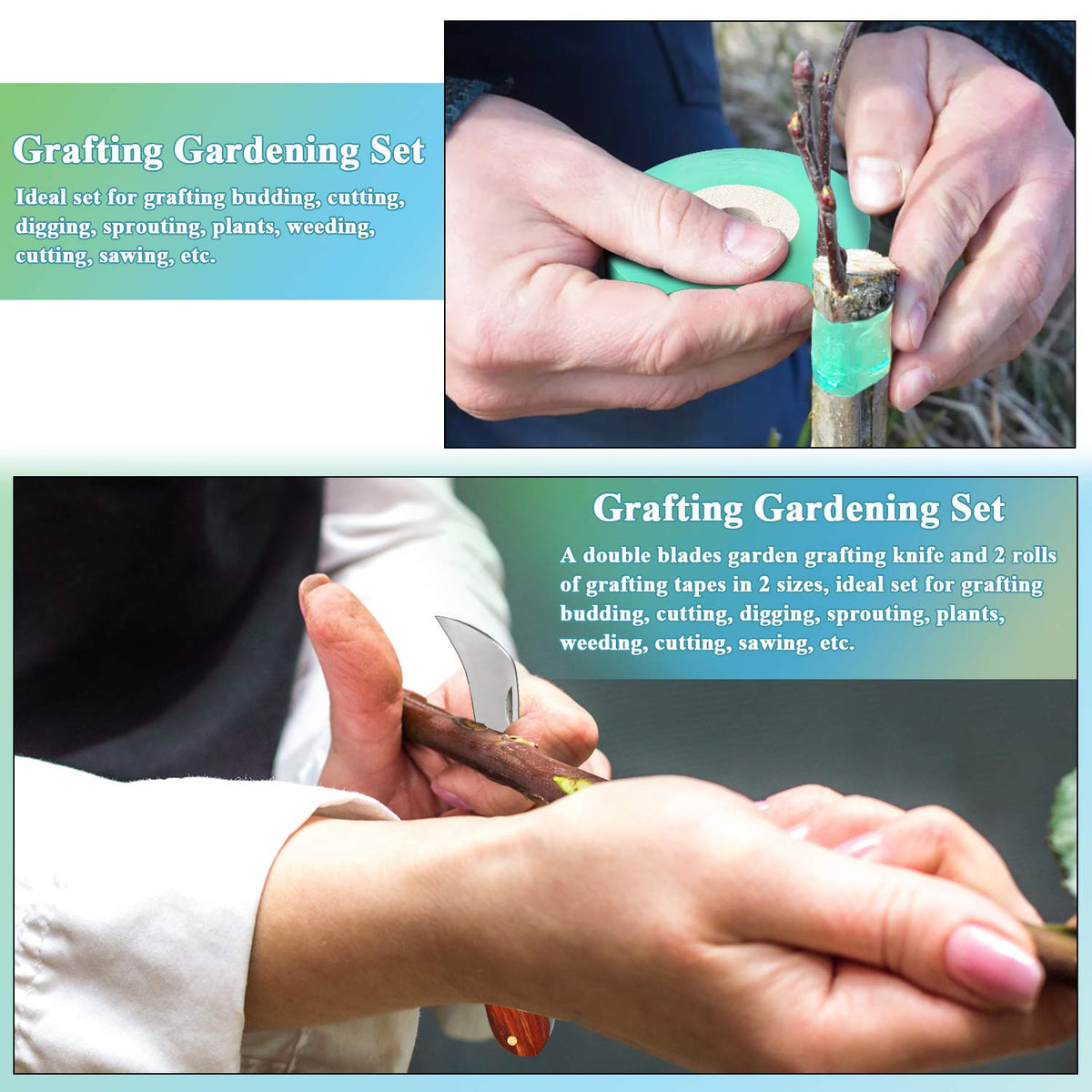 Mudder budding and pruning in action using the grafting kit