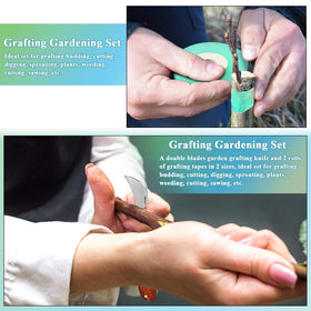 Mudder budding and pruning in action using the grafting kit