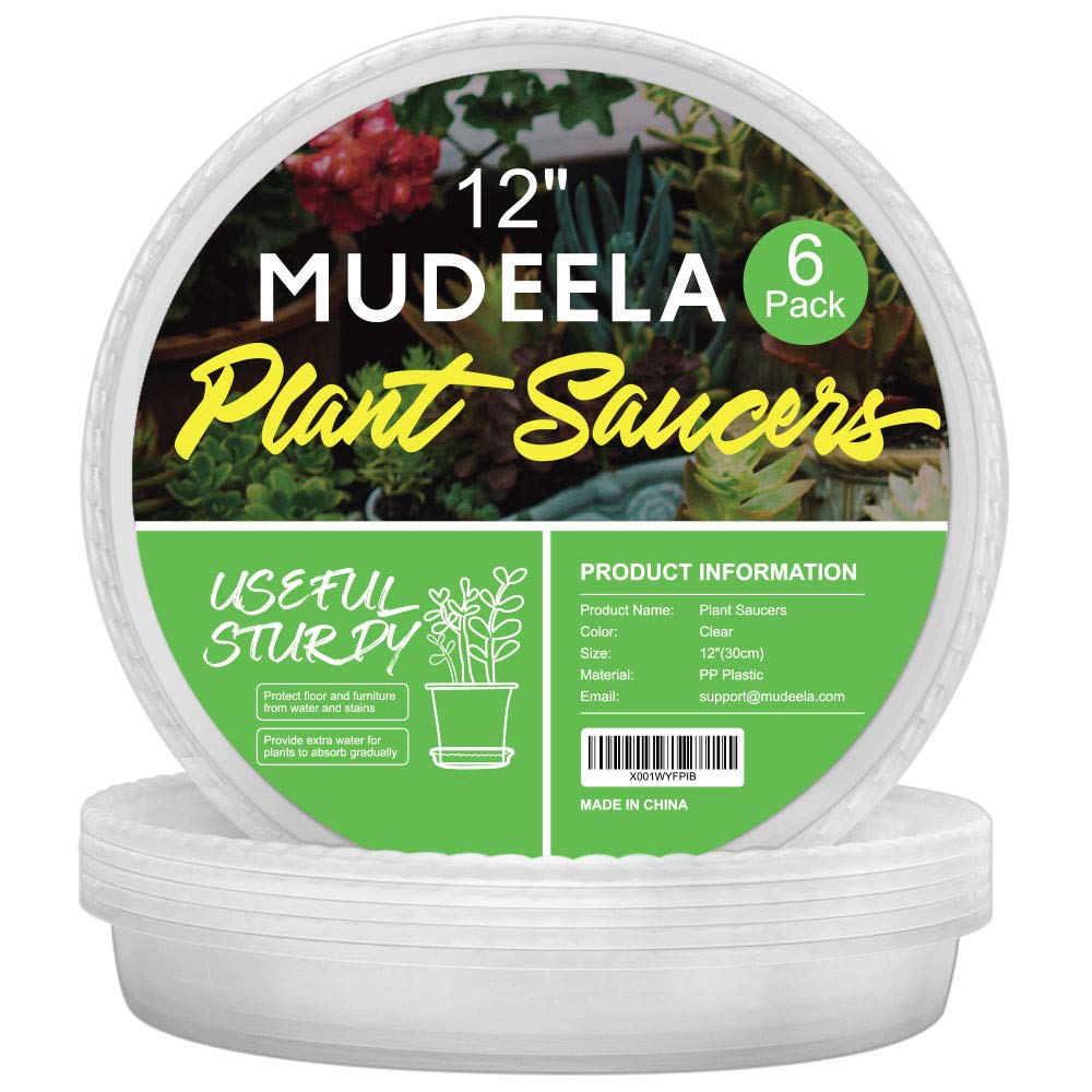 MUDEELA 12-inch clear plant saucer, side view showing sturdy edge for heavy pots.