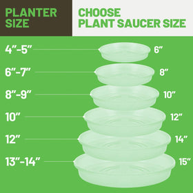 MUDEELA 12-inch clear plant saucer under pot protecting floor surfaces.