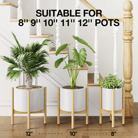 MUDEELA single-tier plant holder elevates a green pot