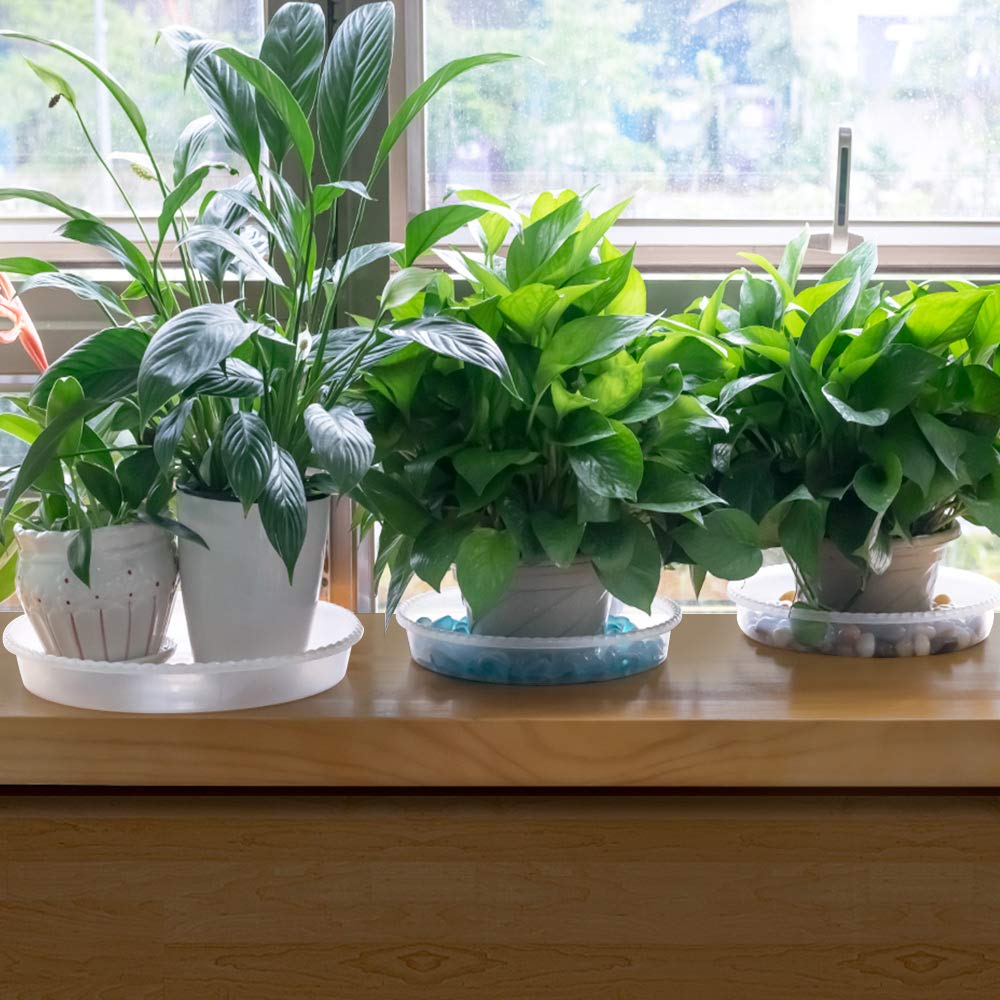 MUDEELA tall-design saucer keeps pots higher for airflow.