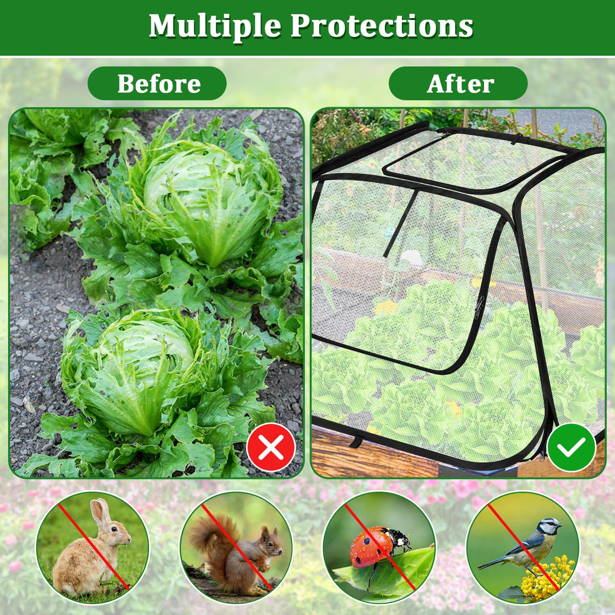 MUDEREK easy install design lets you observe plant growth through clear material