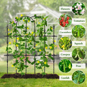 Muderek arch trellis offers ample space for climbing crops.