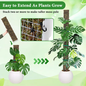 Muderek metal moss pole features anti-corrosion design for lasting indoor use.
