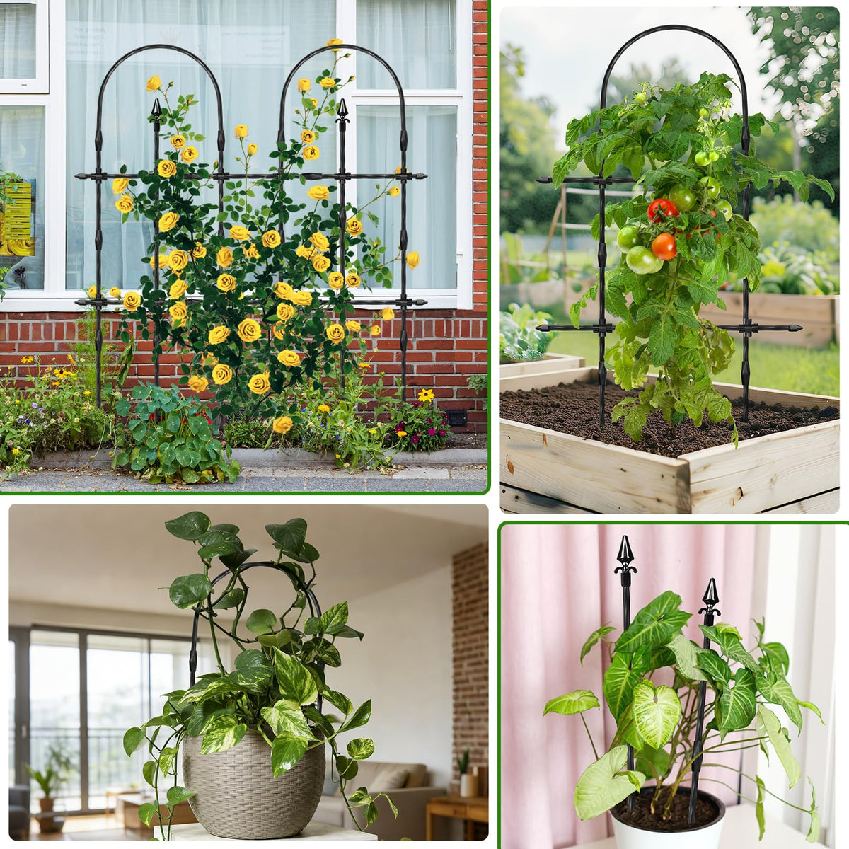 Muderek rose and vine trellis blends into any yard setting.
