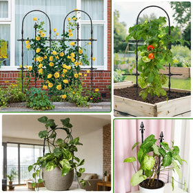Muderek rose and vine trellis blends into any yard setting.