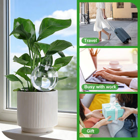 MUDEREK transparent design blends with decor while watering plants.