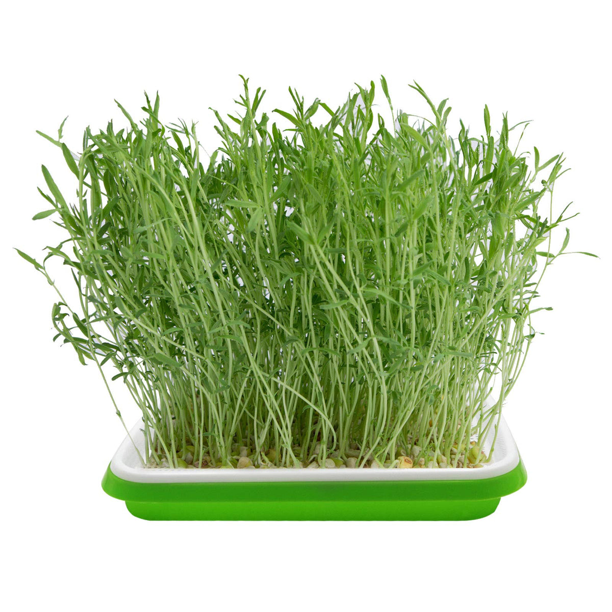 MUDUOBAN five lids for sprouting trays completing the system