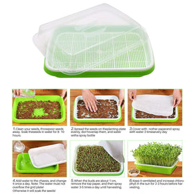 MUDUOBAN indoor/outdoor seed growing kit ready for year-round use