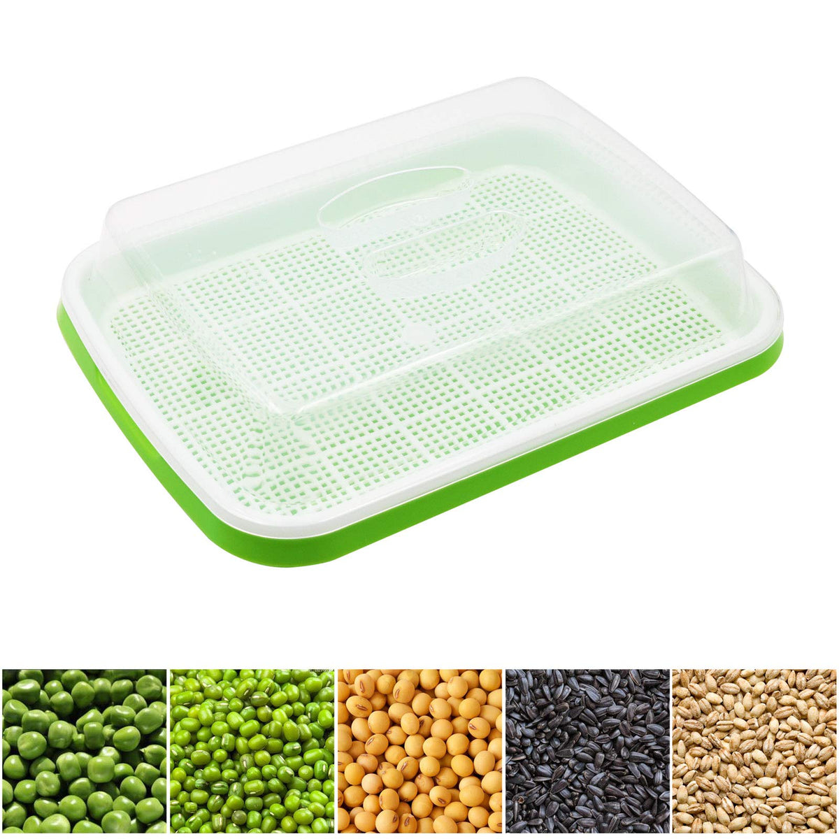 MUDUOBAN stainless steel shelf provides sturdy support for germination setup