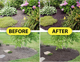 Mulch Worx color concentrate applied along garden bed edges.