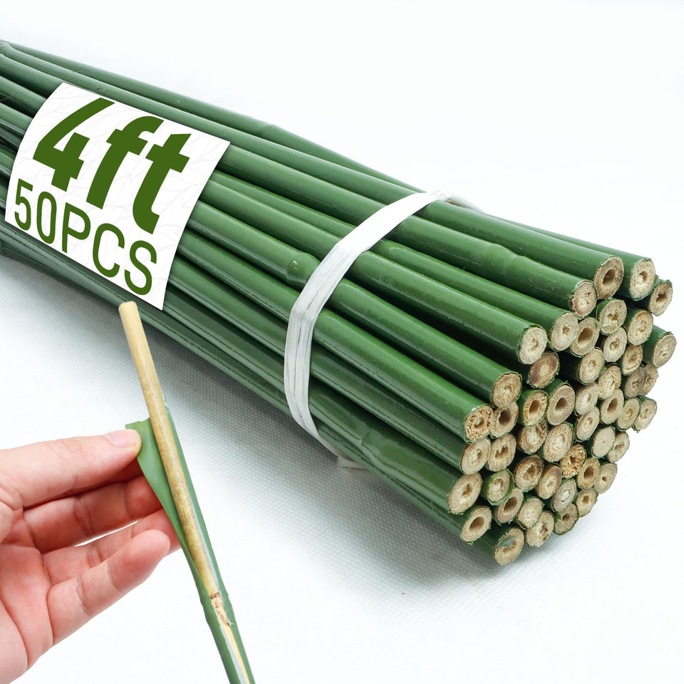 Mulctun bamboo stake close-up with natural finish for tomato support.