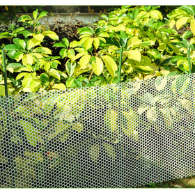Versatile Mulctun stakes support tomatoes, beans, and flowers.