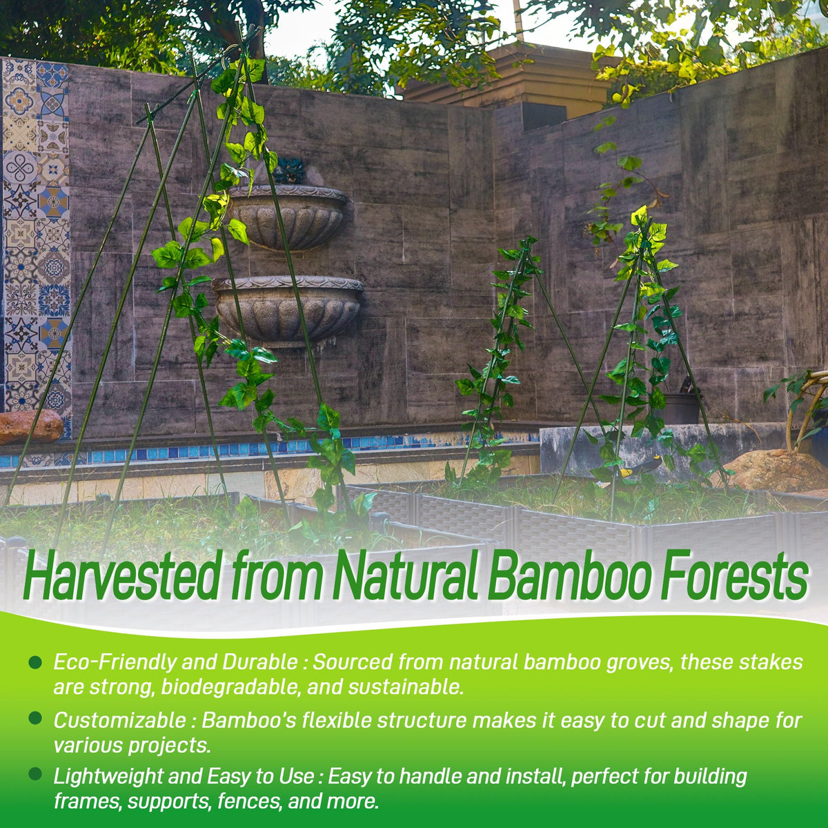 Mulctun bamboo stake for flowers and garden beds.