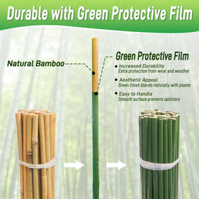 Mulctun bamboo stake with green film protects against wear outdoors.
