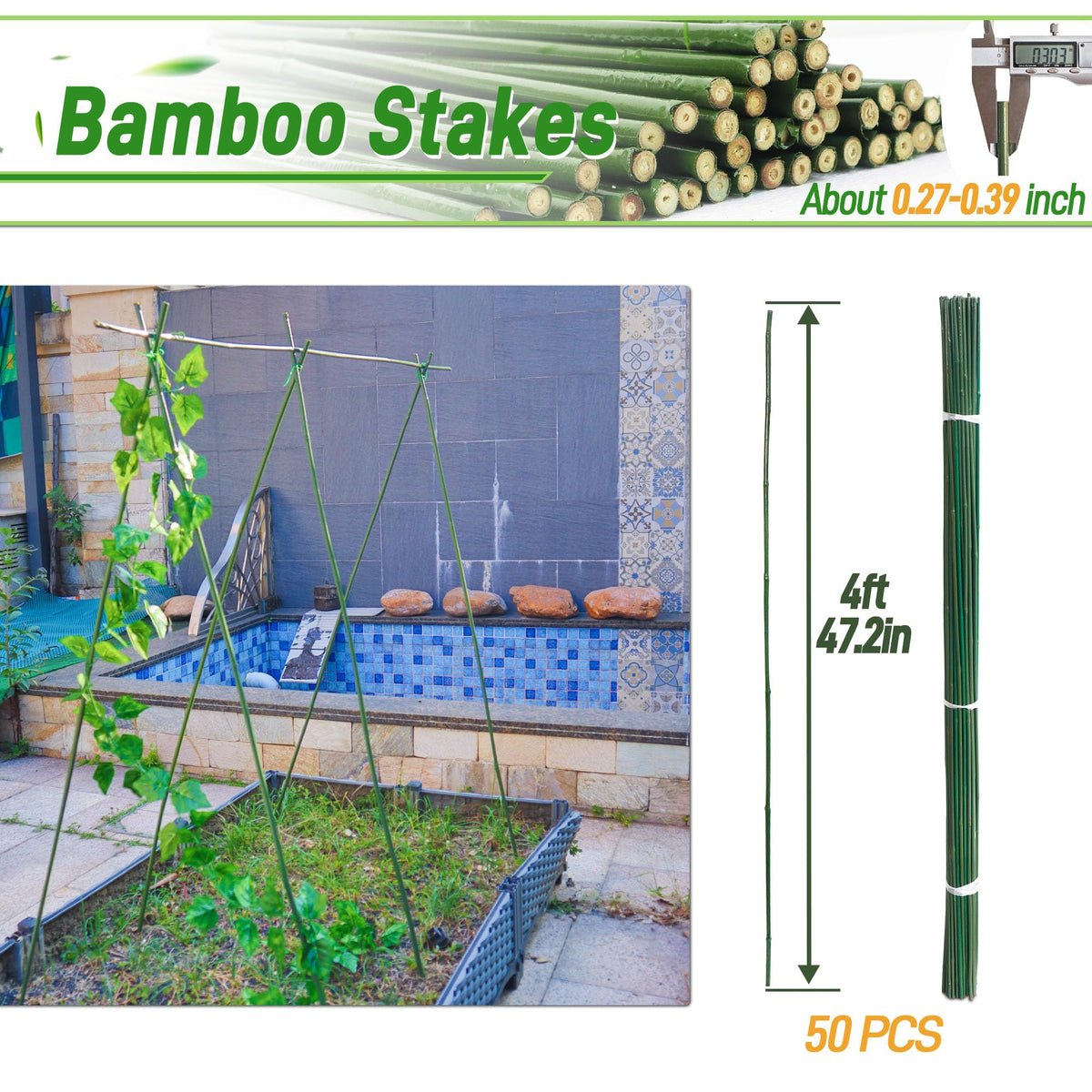 Mulctun 4ft bamboo stake supports tomatoes and beans.