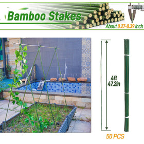 Mulctun 4ft bamboo stake supports tomatoes and beans.