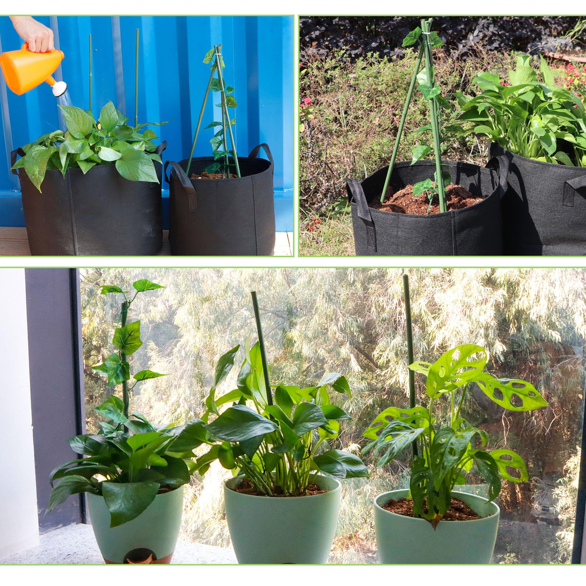 Mulctun bamboo stakes deliver durable, long-lasting garden support.
