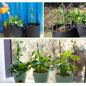 Mulctun bamboo stakes deliver durable, long-lasting garden support.