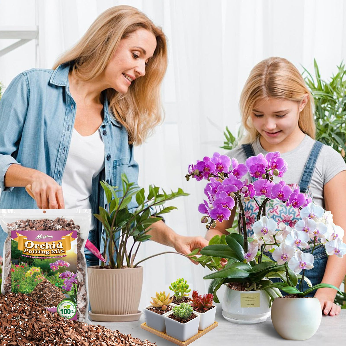 Mulctun orchid bark potting mix promotes healthy roots in a variety of orchids
